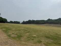 -羊山湖公园
