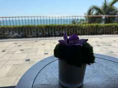-日落吧·海景咖啡厅·餐酒吧·鸡尾酒·下午茶·乐队表演·浪漫夕阳·三亚文华东方酒店
