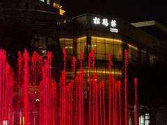 -松鹤楼·非遗·苏帮菜(融科店)
