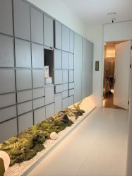 -苑苑vbeauty科技美容SPA
