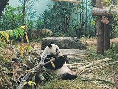 -南宁市动物园