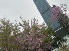 -荔枝公园(福田区)