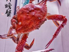 -北塘海鲜·天津菜(大光明桥旗舰店)