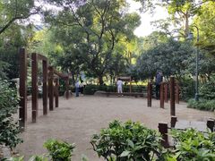 -静安公园(静安寺街道)