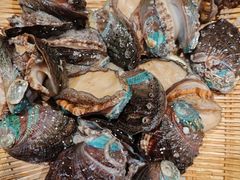 -大连星海皇冠假日酒店