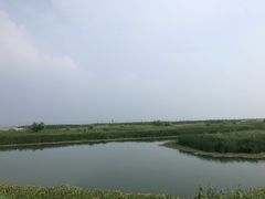 -太湖湖滨国家湿地公园-停车场