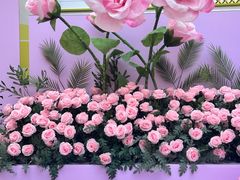 -鲜芒多·杨枝甘露(摩尔城A座10楼店)