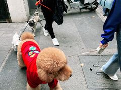 -安福路