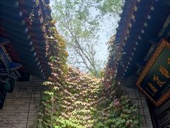 -湘子庙