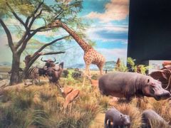 -国家自然博物馆