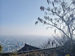 -杭州半山国家森林公园