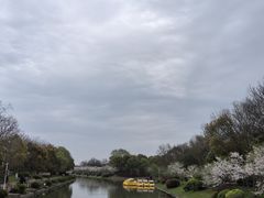 -上海海湾国家森林公园