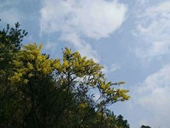 -广州市流溪河国家森林公园