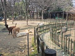 -南昌动物园