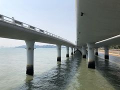 -演武大桥观景平台