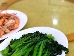 -鸿达渔港