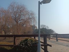 -石老人观光园