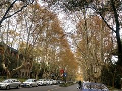 -浙江大学(玉泉校区)