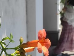 -东梓关景区村庄