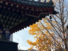 -长安寺