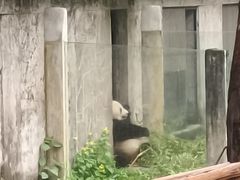 -重庆动物园·东二门售票处