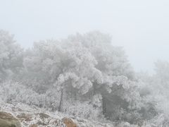 -阳台山自然风景区