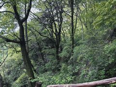 -终南山南五台景区