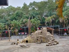 -广东茂名森林公园