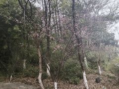 -瑶湖湿地自然保护区