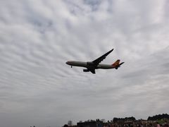 -空港花田景区