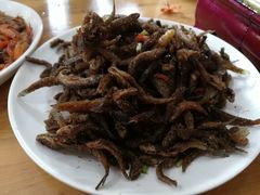 -黄牛肉馆·皖南土菜