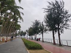 -万绿园