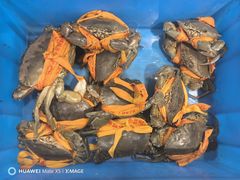 -杨记海鲜楼(三门黑金冠店)