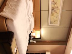 -深圳星河丽思卡尔顿酒店