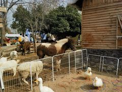 -HERRE·FARM 赫尔露营农场·团建聚会包场