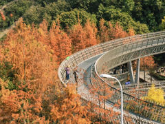 -梅峰山地公园