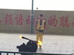 -东方熊牧场