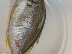 -厝包四点金·潮宴(太古仓店)