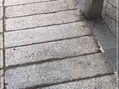 -添發碗仔翅美食