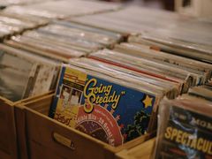 -树懒黑胶唱片店(中山路店)