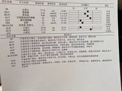 -邢大夫动物医院