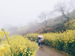 -石潭村