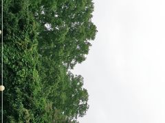 -河南省黄河迎宾馆