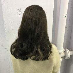 -T8 SALON
