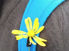 -白鹭湾湿地公园