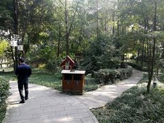 -成都市活水公园