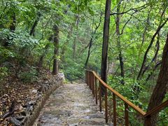 -北京上方山国家森林公园