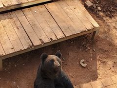 -昆明动物园