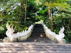 -曼听御花园