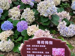 -临平公园(临平街道)